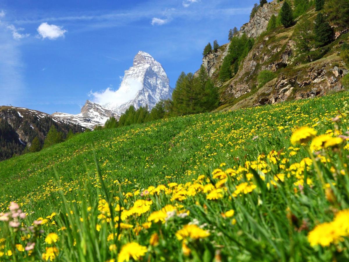 Holiday Home Gaedi By Interhome Zermatt Exterior foto